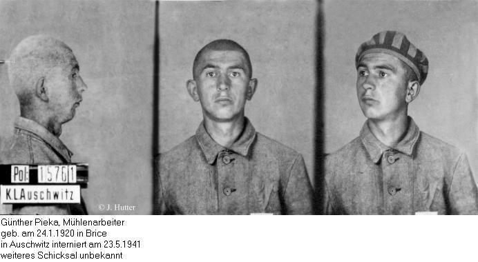 Pink Triangle Prisoner from Auschwitz Concentration Camp: Gnter Pieka
